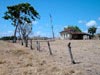 landleben nicaragua (45,3kb)
