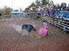dorf-rodeo in boquete (51,7kb)