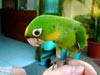 freund bebe (39,3kb)