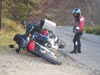 moped schläft (50,1kb)