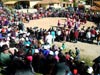 inti-raymi (69,3kb)