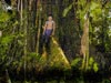 jungle (64,5kb)