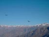 condor paso (21,3kb)