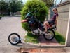 moped-check (52,0kb)
