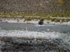rio lauca (53,4kb)
